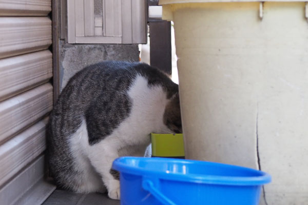 オンブレ　また食べる