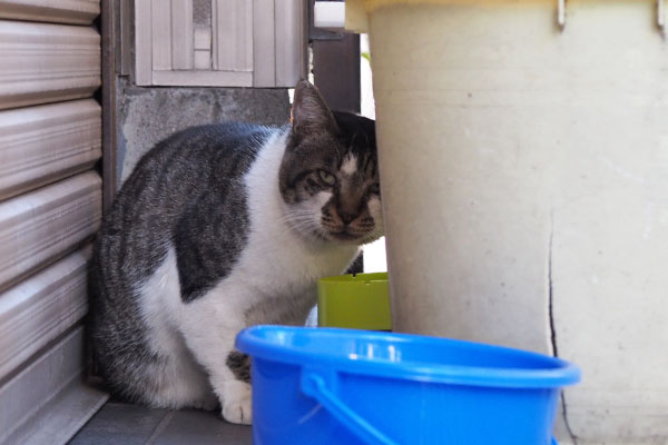 オンブレ　何？