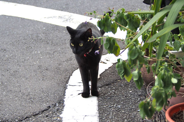 弟たちの居た場所からモノ太