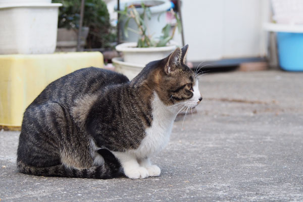 ホット　オンブレを見てる２