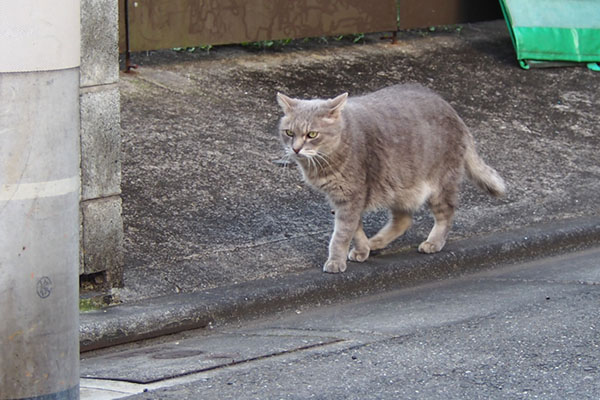 グリ　前進する