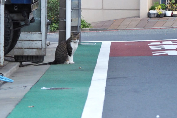 リオ　こちらに気付く