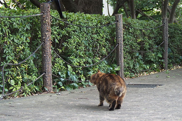 クラタン　左上にカラス