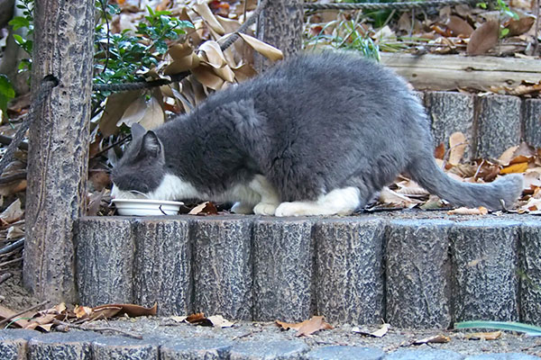 オット　変な場所で食べる