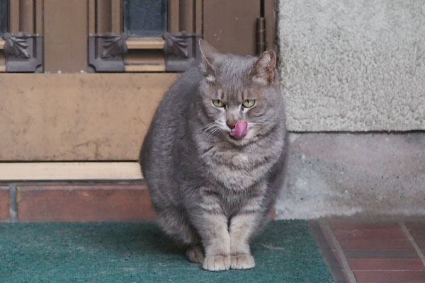 玄関前にシピ　ぺろん