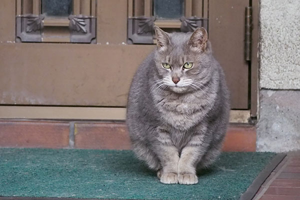 cipi sitting position