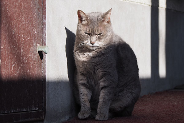 お顔に日が当たってるシピ３