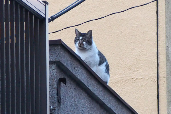 Ombre on the roof