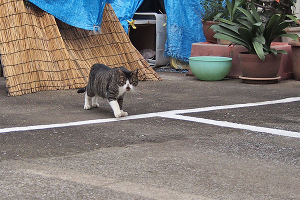 ホット　出てきたとこ