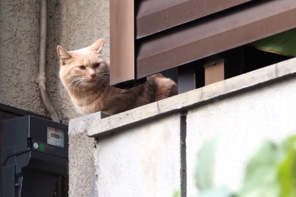 右から撮って観る