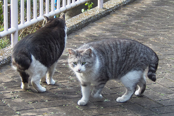 クロム　いったんこっちに