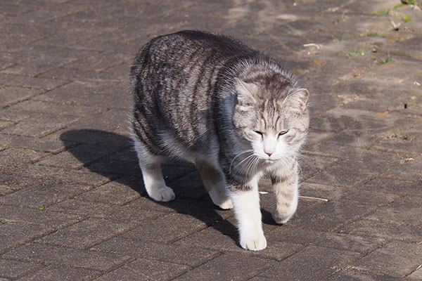 追い越すと追いかけてくるクロム