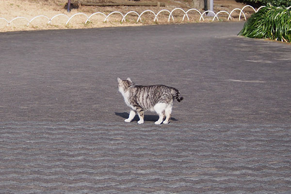 停止したクロム