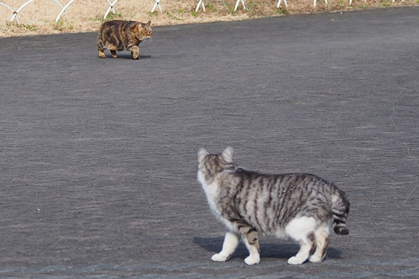 クラタンなぜそっち