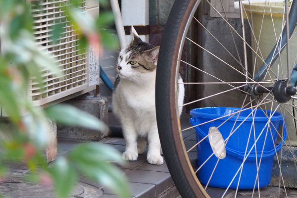 ケイ　見える方の目で