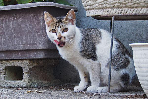 セイ　食事した後