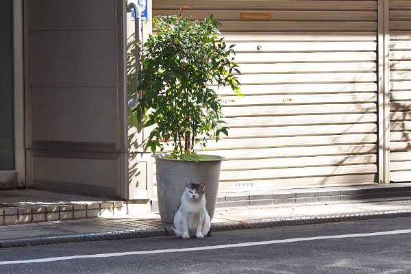 kei in front of plants