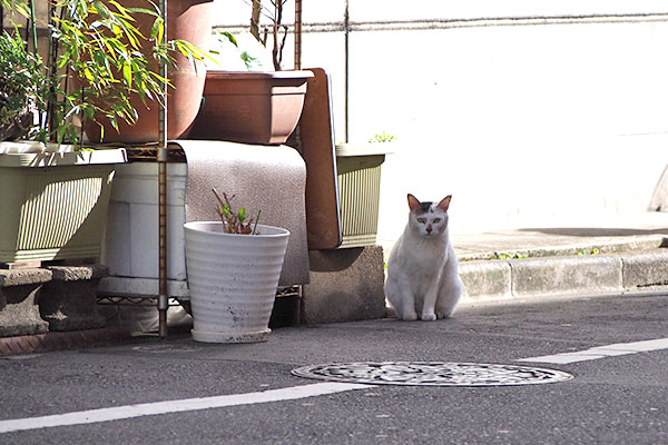 右にオーロラ