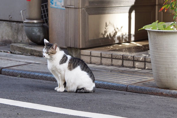 ケイ　右から