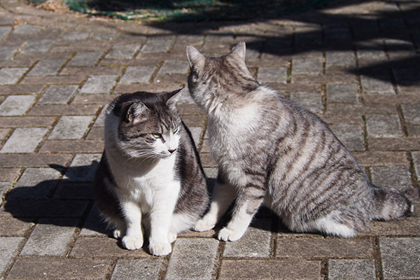 クロムとタンタル　２