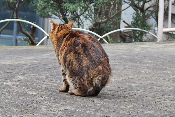 クラタン　お座り