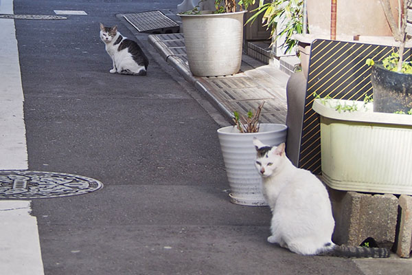 ケイがこちらを見た