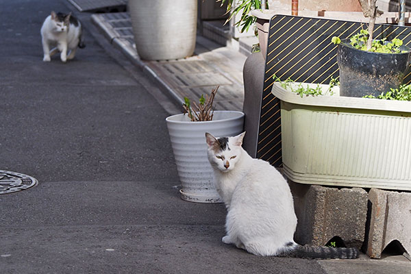 ケイ　動く