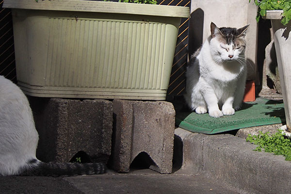 ケイ　来まちた