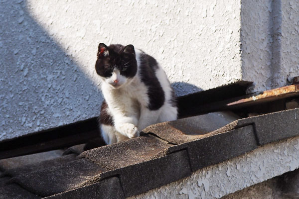 nicole on the roof