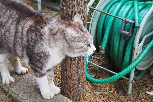 クロム　目の前にクーロン