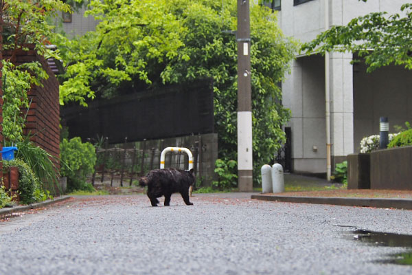 モフネ　遠くを歩く