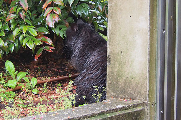 モフネ　公園の端に