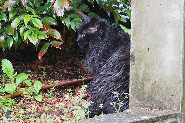 モフネ　公園の端に３