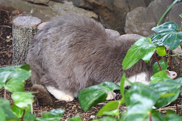 オット　食べる