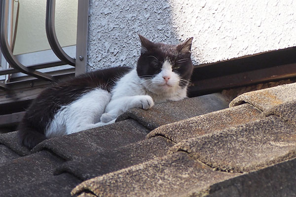 nicole on the roof