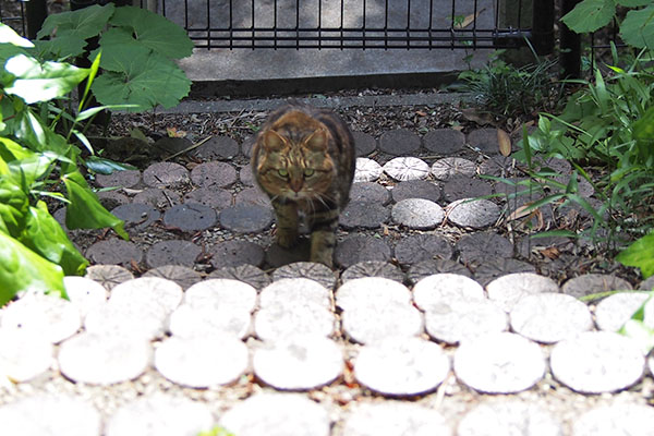 クラタン　起き上がる