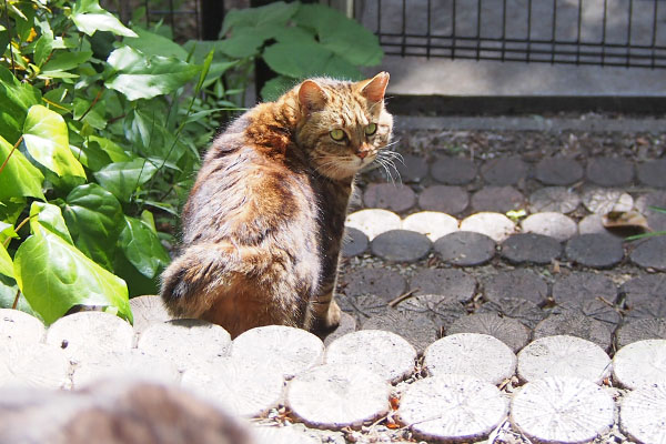 クラタン　さようならっぽく