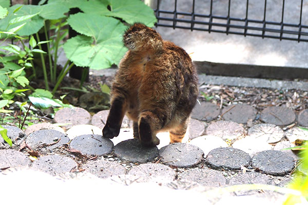 クラタン　下りて行く