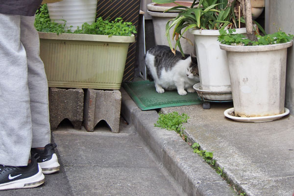 ケイ　おしゃべりしてるヒトが横に