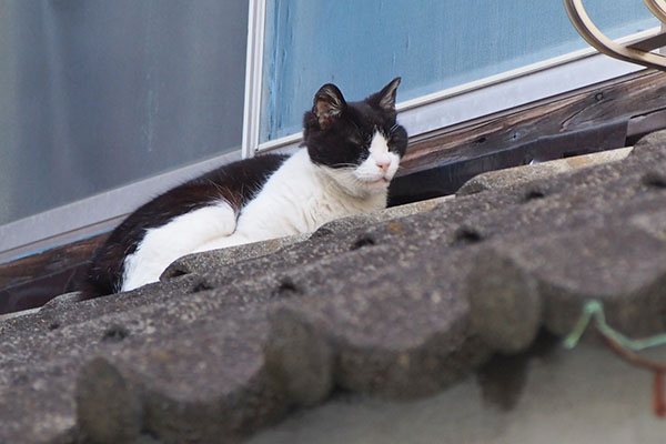 ニコル　別角度から