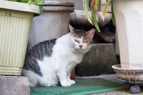 kei sitting and staring