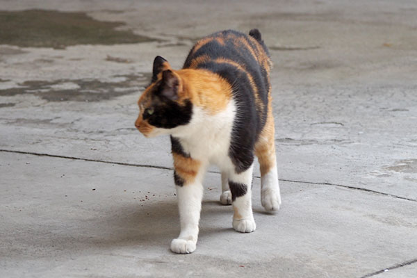 リコ　ふにと横見る