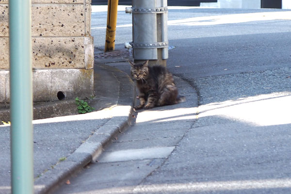 気付いたかな　タッチー