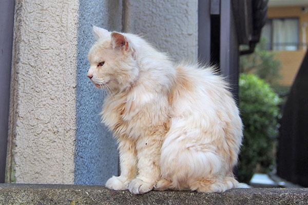 ナリコマ君　横から