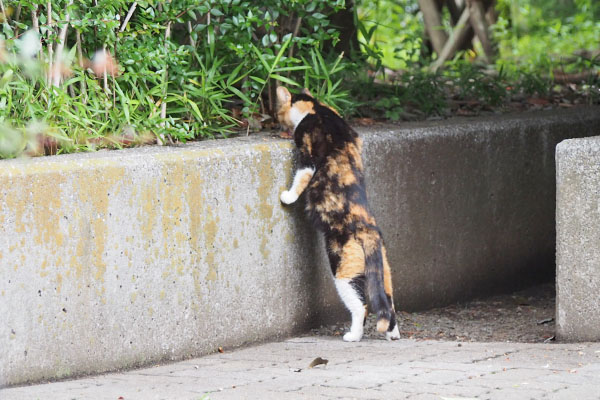 ミク　立って食べるのか