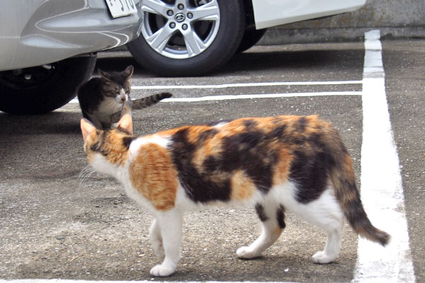 れもんとホット