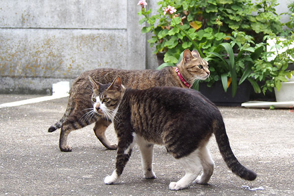 らい太とホット