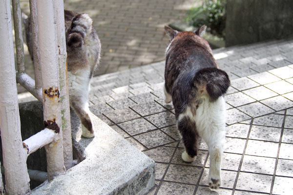 一緒に階段下りて行く