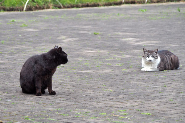 タンタルとクーロン　長期戦