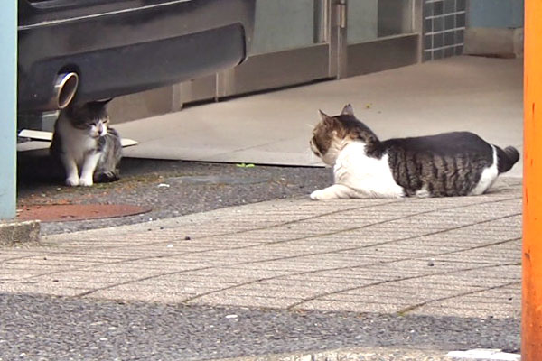 オンブレ　横になる